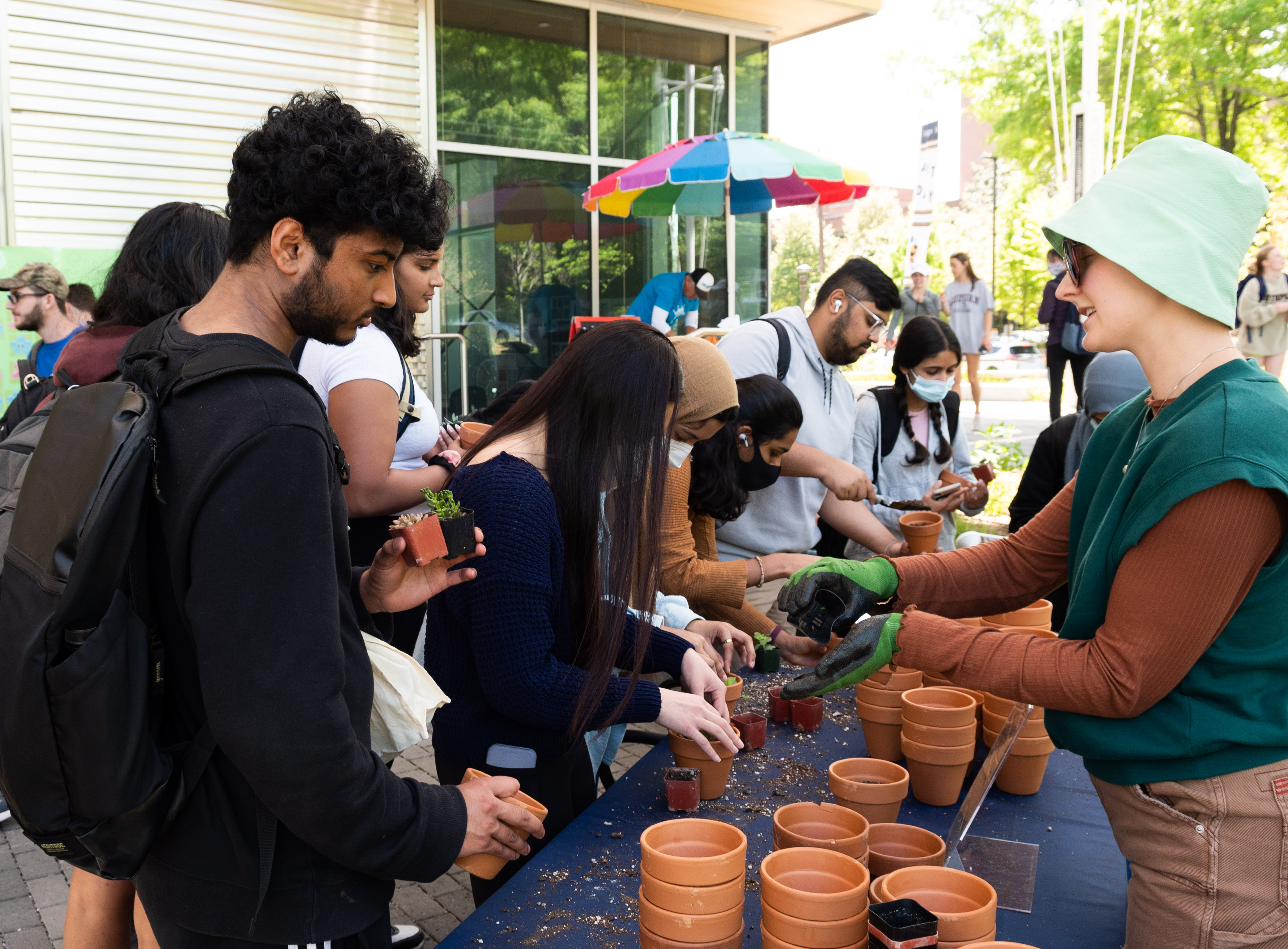 Students planting succulents